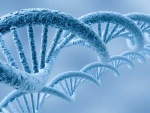dna