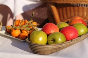 Vitamíny a rakovina – fakty, ktoré musíte vedieť!