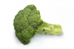 Brokolica a rakovina