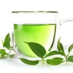 Rakovina a jej liečenie pomocou zlúčeniny EGCG nachádzajúcej sa v zelenom čaji