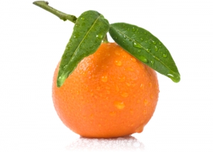 Štúdia: Modifikovaný citrusový pektín umožňuje použitie nižších dávok chemoterapie