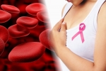 Liek na rakovinu krvi môže zastaviť šírenie buniek rakoviny prsníka
