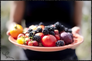 Antioxidanty, ich delenie, vlastnosti a výskyt
