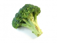 Zdroje antioxidantov - Koenzým Q10